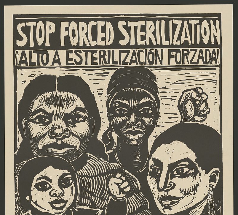 Stop Forced Sterilization Poster from the San Francisco Poster Brigade, 1977. Source: Library of Congress